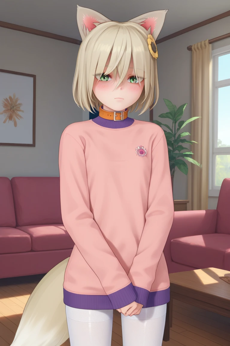 (score_9, score_8_up, score_7_up) source_anime, anime coloring, female,Flowerfox, grey eyes, fox ears, animal ears, blonde hair, short hair, straight hair, hair ornament, tail, collar, flat chest, sweater pink sweater, white pantyhose, <lora:FlowerLora:0.8> standing, v arms, looking at viewer, expressionless, blush, indoors, living room,