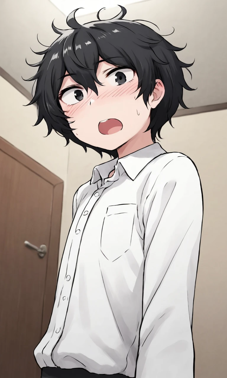 score_9, score_8_up, score_7_up, source_anime, anime illustration, masterpiece, best quality, lots of details, BREAK
1boy, solo, 18 years old, femboy:0.1, adult, hakudoujin, blush, short hair, black hair, black eyes, shirt, open mouth, collared shirt, messy hair, looking at viewer, indoors, side view, worm view