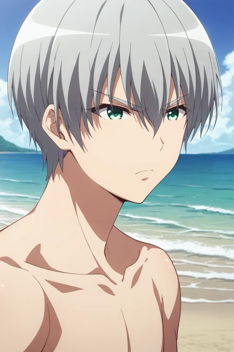 score_9, score_8_up, score_7_up, source_anime, rating_safe, intricate details, (realistic:0.6), , depth of field, 1boy, solo, male focus, <lora:hiroto_suzuki_pony:0.92>, hiroto_suzuki, grey hair, green eyes, short hair, bangs, hair between eyes, , upper body, beach, ocean, waves, island, midnight, one leg up, angry, french costume, <lora:sdxl_lightning_8step_lora:1>