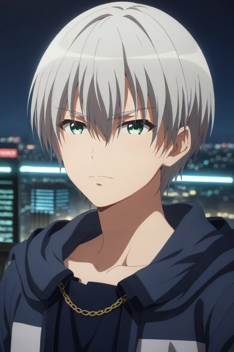 score_9, score_8_up, score_7_up, , rating_safe, intricate details, (3d:0.4), , , 1boy, solo, male focus, <lora:hiroto_suzuki_pony:1>, hiroto_suzuki, grey hair, green eyes, short hair, bangs, hair between eyes, , straight-on, full body, city, city lights, indoors, dark, leaning on object, :o, , <lora:sdxl_lightning_8step_lora:1>