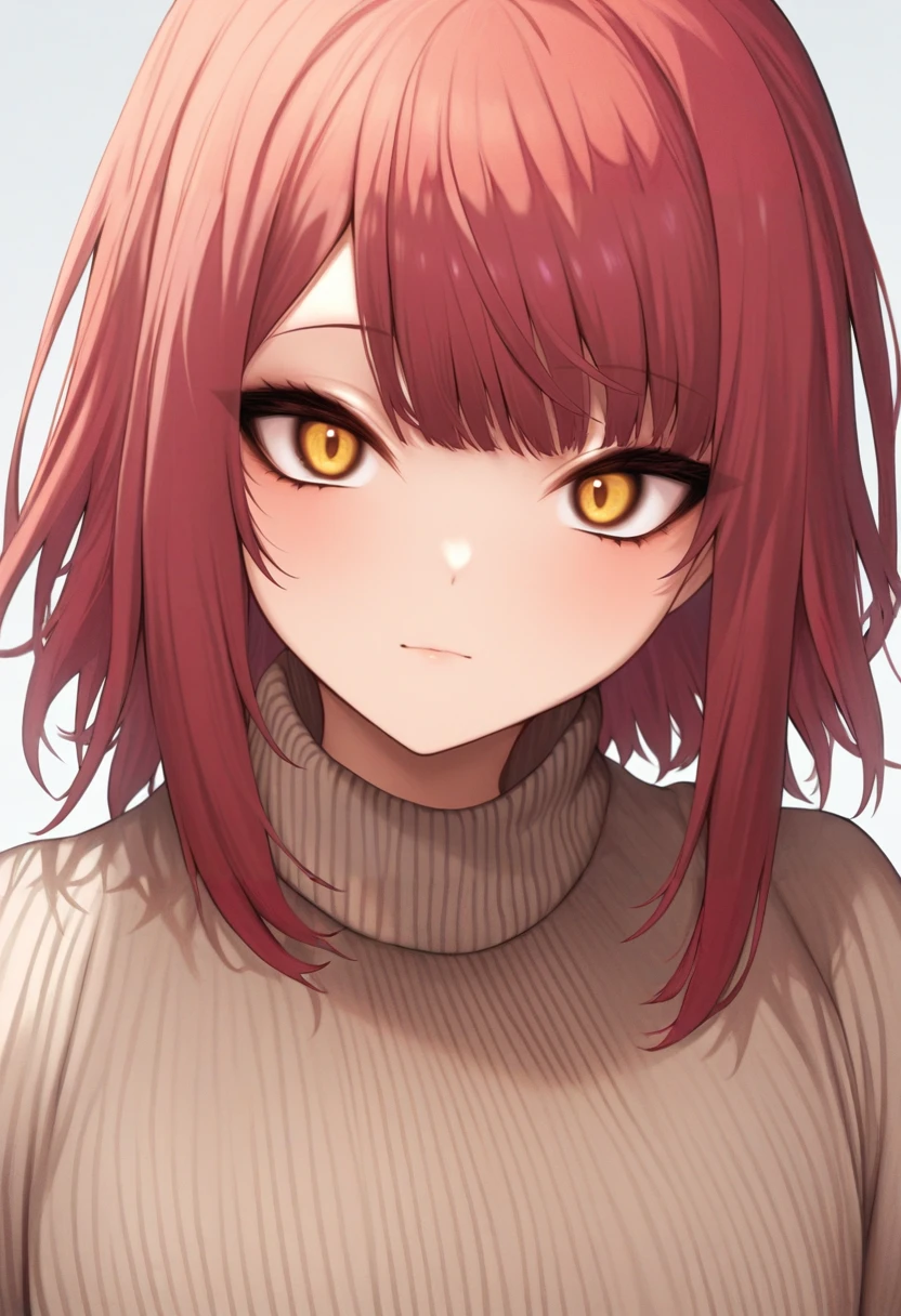 masterpiece, best quality, good quality, 1girl, solo, upper body, red hair, yellow eyes, sweater, closed mouth <lora:danimaru illustrious 003:1>