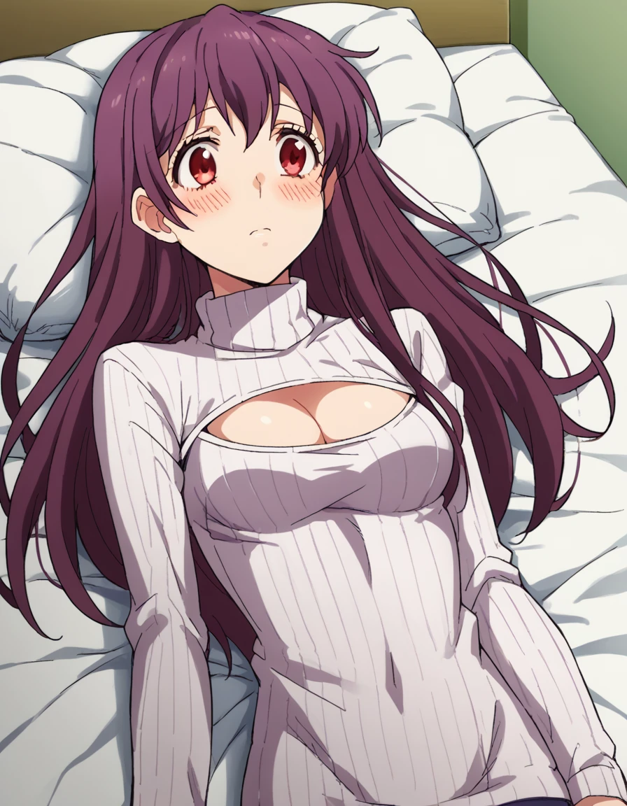 score_9, score_8_up, score_7_up, source_anime, <lora:akari-hayasaka-movie-ponyxl-lora-nochekaiser:1>, akari hayasaka, long hair, purple hair, red eyes, medium breasts, <lora:open-chest-sweater-ponyxl-lora-nochekaiser:1>, open-chest sweater, ribbed sweater, cleavage cutout, meme attire, clothing cutout, turtleneck, sweater dress, cleavage, clothes tug, sweater pull, cleavage reach,, indoors, bed, bed room, blush, on bed, on back, , cowboy shot, dutch angle,