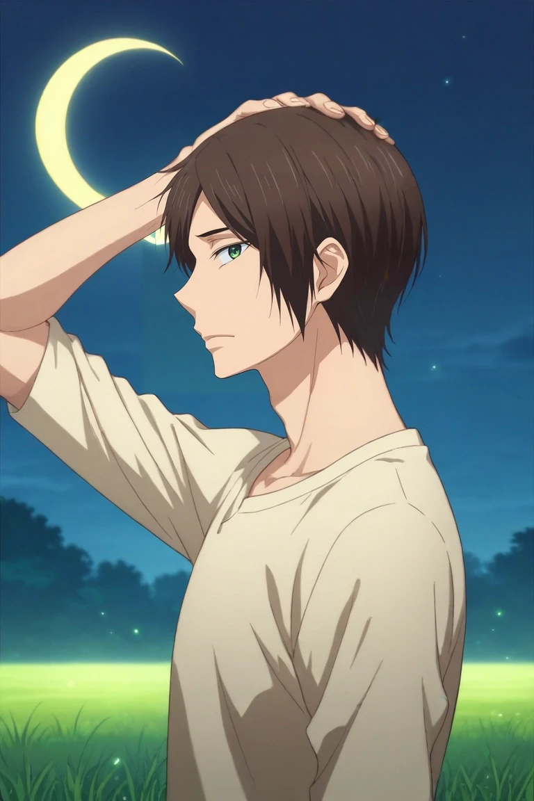 score_9, score_8_up, score_7_up, source_anime, rating_safe, , (realistic:0.6), looking at viewer, , 1boy, solo, male focus, <lora:asuma_mutsumi_pony:0.86>, asuma_mutsumi, brown hair, green eyes, short hair, profile, grass, night, crescent moon, arm up, nervous, , <lora:sdxl_lightning_8step_lora:1>