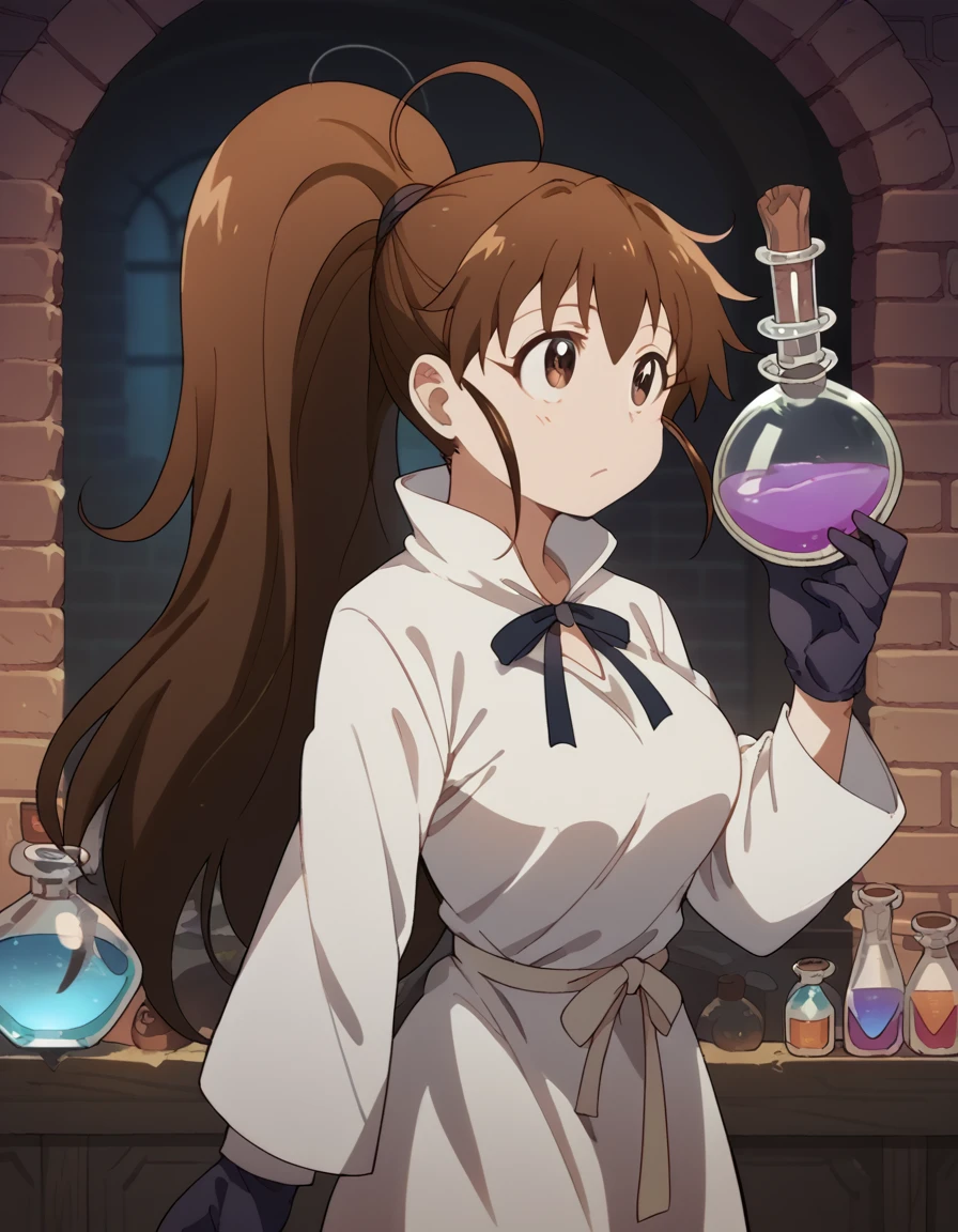 score_9, score_8_up, score_7_up, source_anime, <lora:popura-taneshima-s2-ponyxl-lora-nochekaiser:1>, popura taneshima, long hair, brown hair, brown eyes, ponytail, ahoge, large breasts,, <lora:wizard-ponyxl-lora-nochekaiser:1>, wizard, wizard hat, robe, dress, long sleeves, gloves,, indoors, bricks, potion, flask, vial,, cowboy shot,