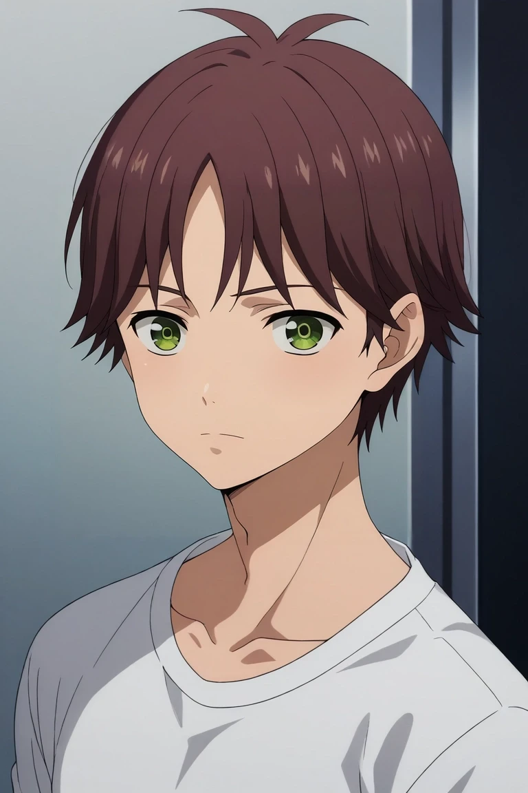 score_9, score_8_up, score_7_up, source_anime, rating_safe, , semi-realistic, looking at viewer, , 1boy, solo, male focus, <lora:tasuku_yamane_pony:0.88>, tasuku_yamane, brown hair, green eyes, short hair, , , <lora:sdxl_lightning_8step_lora:1>