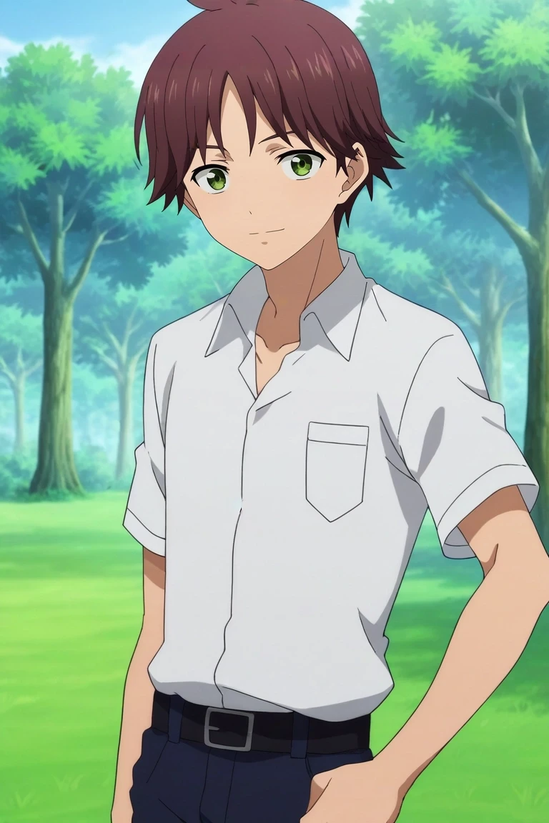 score_9, score_8_up, score_7_up, source_anime, rating_safe, , anime screencap, anime coloring, , looking at viewer, , 1boy, solo, male focus, <lora:tasuku_yamane_pony:0.78>, tasuku_yamane, brown hair, green eyes, short hair, symmetry, grass, tree, noon, hand on hip, light smile, , <lora:sdxl_lightning_8step_lora:1>