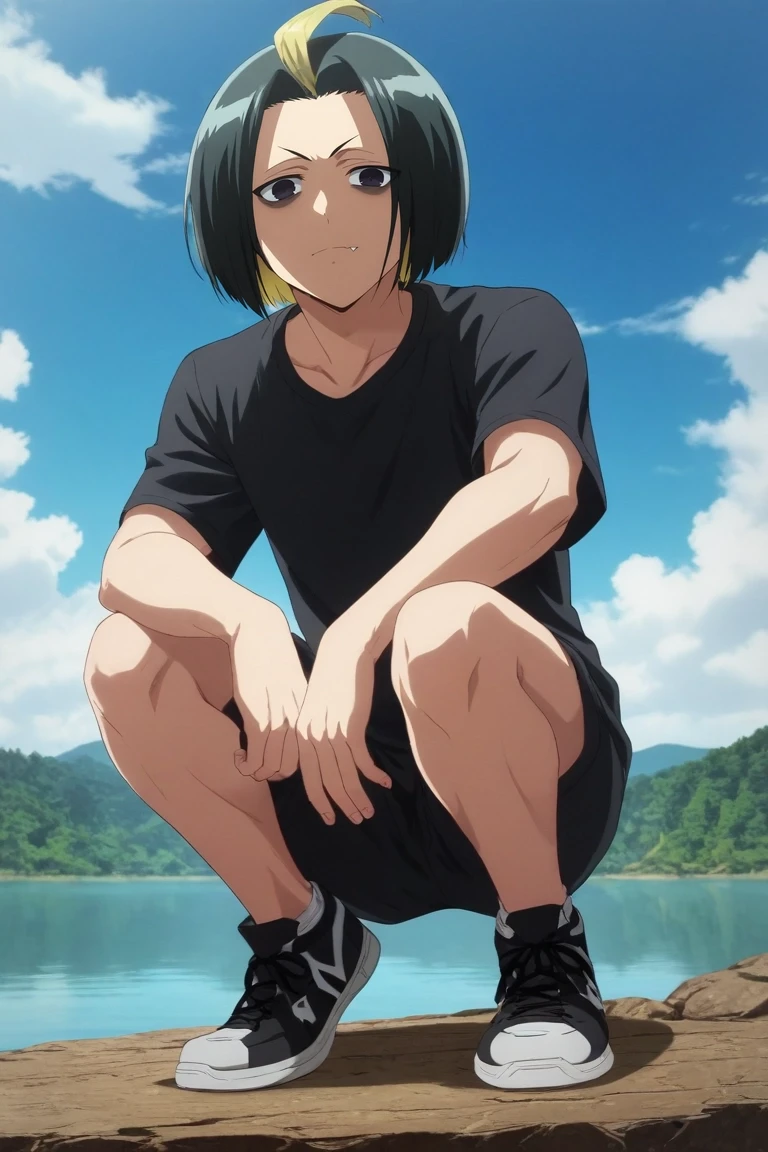 score_9, score_8_up, score_7_up, , rating_safe, , (photorealistic:0.6), looking at viewer, , 1boy, solo, male focus, <lora:seigen_amawaka_pony:0.92>, seigen_amawaka, black hair, black eyes, , multicolored hair, two-tone hair, streaked hair, blonde hair, ahoge, wide angle, wide shot, cowboy shot, lake, day, clouds, squatting, skin fang, , <lora:sdxl_lightning_8step_lora:1>