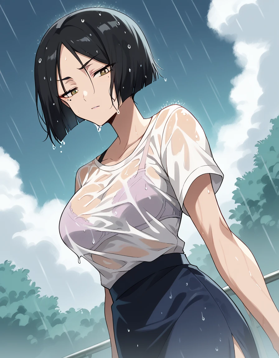 score_9, score_8_up, score_7_up, source_anime, <lora:aria-sanka-s1-ponyxl-lora-nochekaiser:1>, aria sanka, short hair, large breasts, black hair, mole, mole under eye, makeup,, <lora:bra-visible-through-clothes-ponyxl-lora-nochekaiser:1>, bra visible through clothes, wet shirt, wet clothes, see-through, see-through shirt, bra, bralines, wet, white shirt, bra peek, wet skirt,, outdoors, rain, cloudy, , dutch angle,