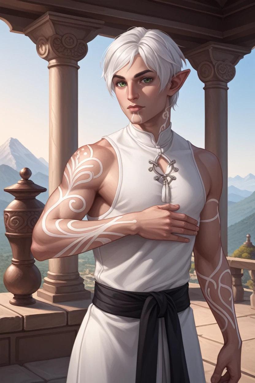 score_9, score_8_up, score_7_up,
<lora:DA2Fenris:0.8>
DA2Fenris, 1boy, white hair, green eyes, white tattoo, pointy ears, looking at viewer, at an ancient temple in the mountains, dressed in monk robes, meditative pose, mist surrounding, calm and spiritual atmosphere, early morning light