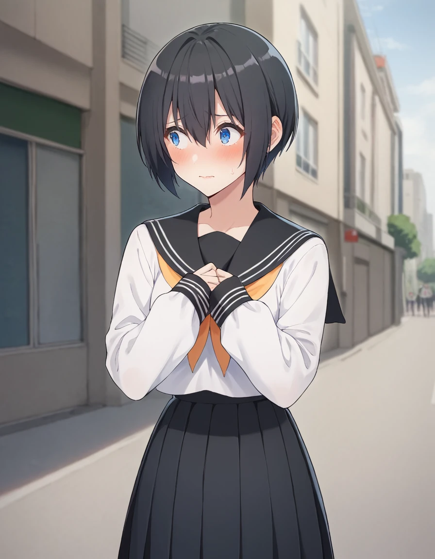 score_9, score_8_up, score_7_up, source_anime, BREAK
1girl, solo, looking away, blurry background, cowboy shot, embarrassed, scenery, sleeves past wrists, streets, buildings,
noa, short hair, black hair, hair between eyes, dark blue eyes,
school uniform, black sailor collar, white shirt, yellow neckerchief, long sleeves, black pleated skirt,
<lora:noa_anime_v2-soralz:1>