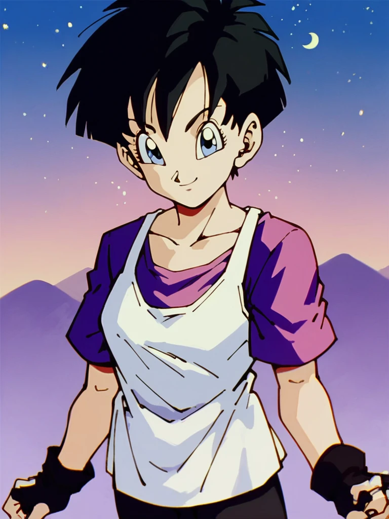 score_9, score_8_up, score_7_up,
1girl, videl, black hair, blue eyes, black hair, short hair, bangs, spiked hair,
purple t-shirt, short sleeves, white tank top, long tank top, black leggings, fingerless gloves,
looking at viewer, smile, night sky