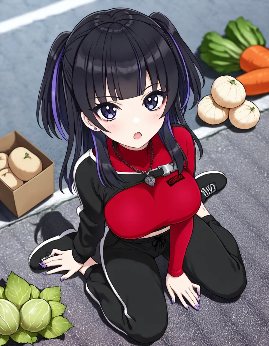 1girl, solo, hanihara haru, purple eyes, makeup, two side up, streaked hair, purple hair, black hair, blunt bangs, long hair, large breasts, stud earrings, purple nails, red turtleneck shirt, leaf necklace, mismatched sleeves, shrug \(clothing\), crop top, long sleeves, black pants, black sneakers, 
blush, open mouth, 
wariza, full body, 
looking at viewer, too many vegetable,potato, taro,carrot,onion,cabbage,
from above, sitting, spread legs, blue sheet,
photo background, blurry background, outdoors, street,
masterpiece, best quality, good quality,explicit, uncensored