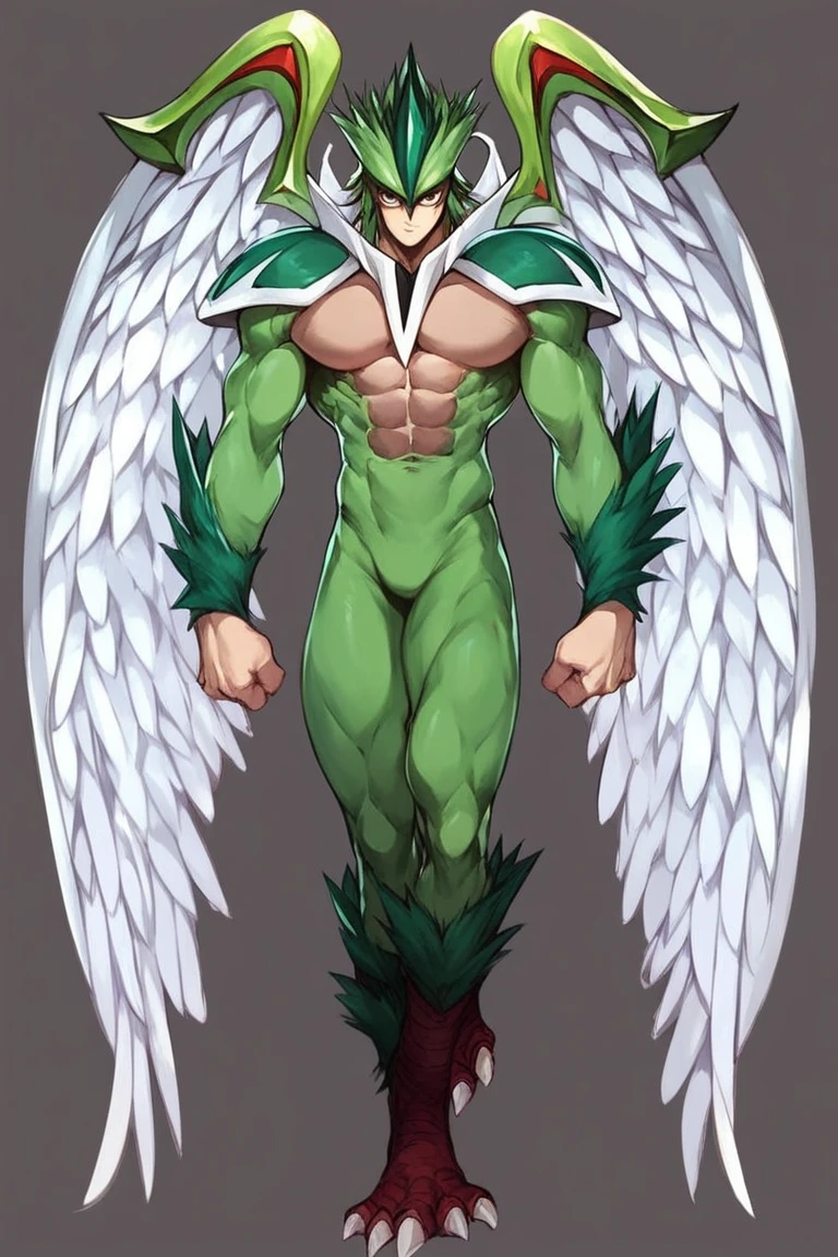 score_9, score_8_up, score_7_up, s anime origin, hero elemental avian, Angelic wings, full body, Male focus, Standing facing viewer,front view