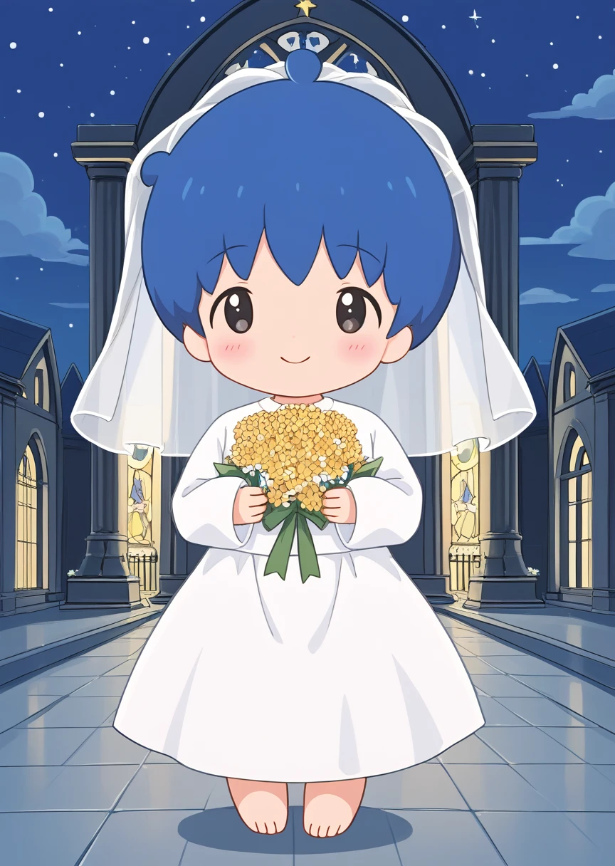 score_9, score_7_up, source_anime, BREAK
kikitw1n, human, male, solo, blush, smile, short hair, shirt, long sleeves, 1boy, blue hair, white shirt, male focus, night sky, cloud, chibi, star (symbol), white dress, holding flowers, no nose, wedding dress, wedding veil, barefoot, church