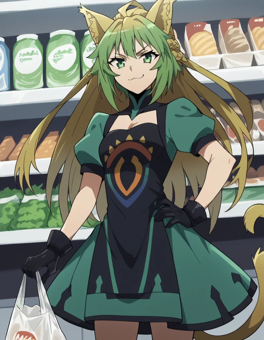 score_9, score_8_up, score_7_up, source_anime, <lora:atalanta-apocrypha-s1-ponyxl-lora-nochekaiser:1>, atalanta, animal ears, blonde hair, cat ears, cat girl, cat tail, green eyes, green hair, hair between eyes, long hair, multicolored hair, tail, medium breasts,, black gloves, gloves, skirt, dress, green dress, short sleeves, puffy sleeves, juliet sleeves, short skirt, green skirt,, grocery store, cashier, shopping bag, scanning items, small talk, everyday routine, smile, smug, hand on hips,, looking at viewer, solo,, dutch angle, cowboy shot