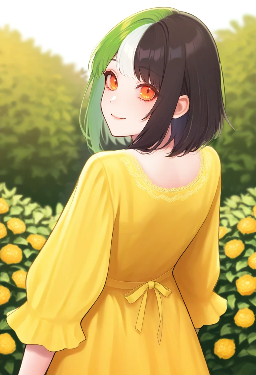 (m alexa:0.5), (yarn (yarn 03):0.7), masterpiece, best quality, 1girl, solo, yellow sundress, from behind, looking back, looking at the viewer, outdoors, garden, smile, <lora:NSMelionPalHairIllu:1> NSMelionPalHair, green hair, black hair, white hair, multicolored hair, orange eyes