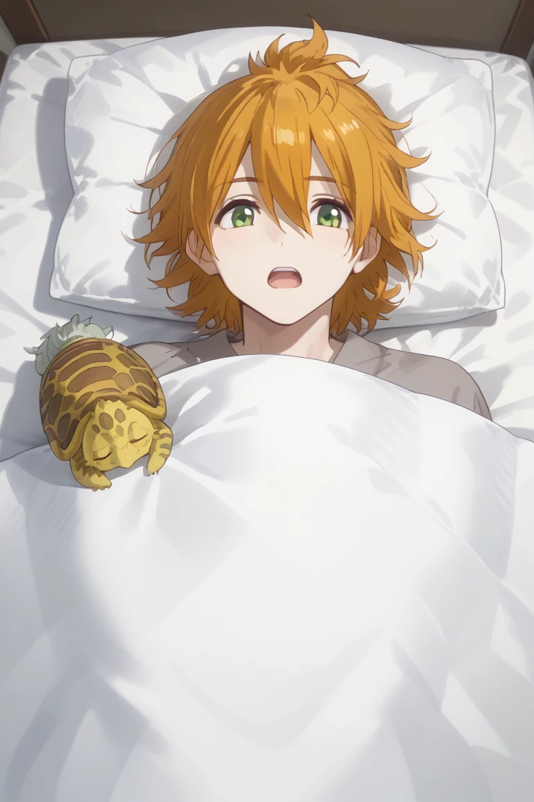 score_9, score_8_up, score_7_up, score_6_up, urashima kotetsu, green eyes, hanamaru style, 1boy, male focus, turtle, pillow, open mouth, solo, futon, under covers, orange hair, lying, bed