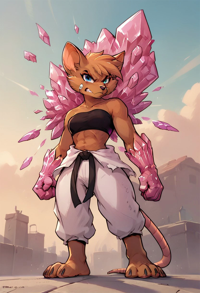 score_9, score_8_up, score_7_up, score_6_up, score_5_up, score_4_up, olympia, rat, brown fur, furry, female, blue eyes, short hair, karate gi, black belt, tube top, bandage on face, barefoot, amethyst fist, scowl, low angle view, amethyst fist, fist, crystal fist, fighting pose, looking at viewer, angry