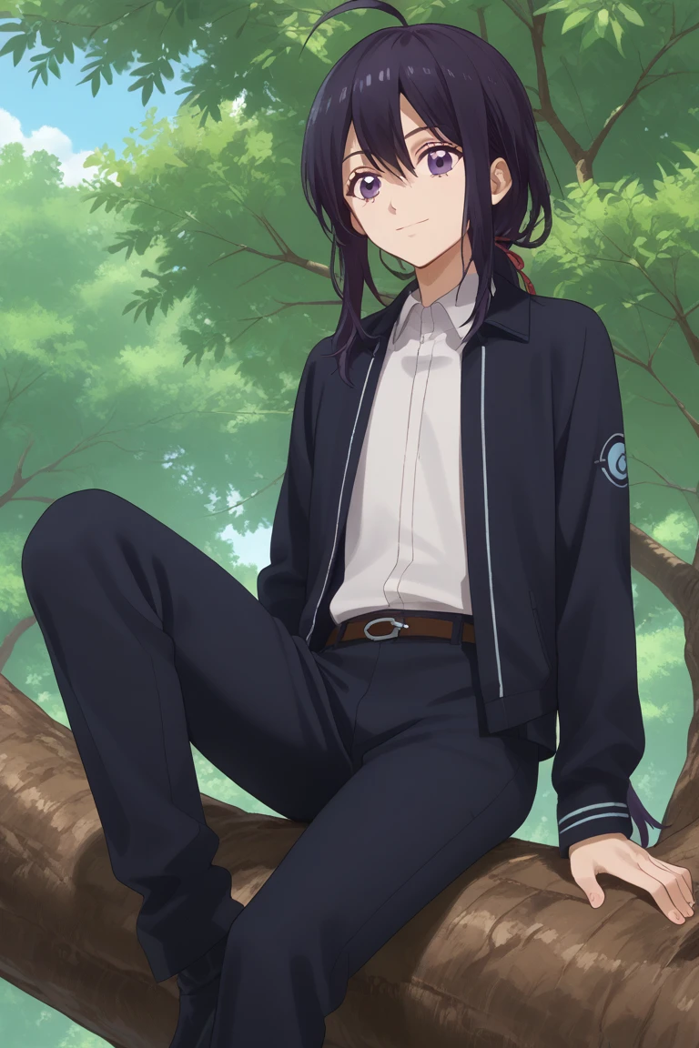 score_9, score_8_up, score_7_up, score_6_up, namazuo toushirou, purple hair, purple eyes, hanamaru style, 1boy, male focus, ahoge, black hair, sitting, solo, smile, ponytail, in tree, tree, sky, day, anime coloring, black jacket, white shirt, black pants, open jacket