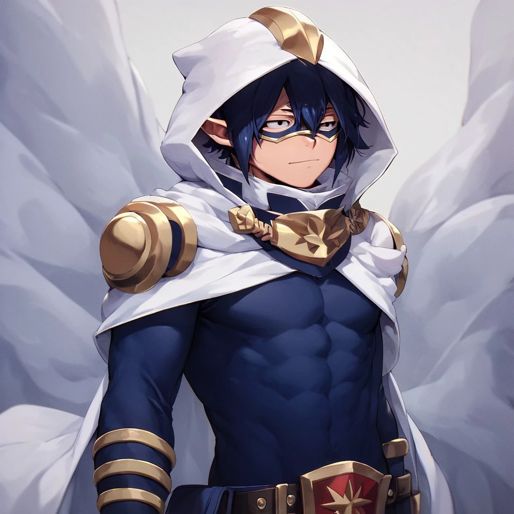 (masterpiece), score_9, score_8_up, score_7_up, score_6_up, score_5_up, score_4_up, 1boy, solo, Tamaki Amajiki, dark blue hair, hair between eyes, black eyes, pointy ears, hero costume, hood, cape, mask