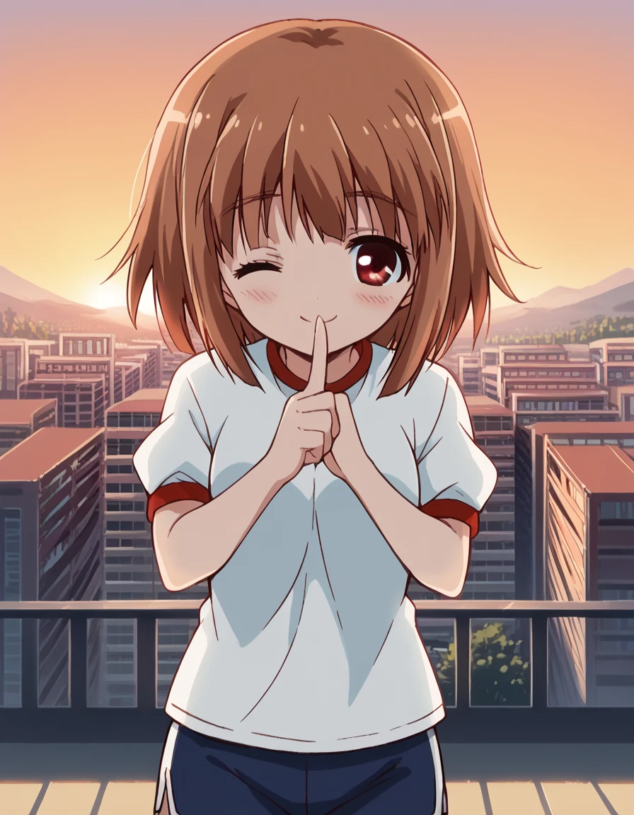 score_9, score_8_up, score_7_up, source_anime, <lora:airi-kashii-s1-ponyxl-lora-nochekaiser:1>, airi kashii, short hair, brown hair, red eyes,, gym uniform, shorts,, rooftop, sunset, cityscape, quiet moment, wind blowing, contemplative, smile, <lora:shushing-ponyxl-lora-nochekaiser:1>, shushing, finger to mouth, index finger raised, from above, library, smile, blush, one eye closed, dutch angle,, looking at viewer, solo,, dutch angle, cowboy shot