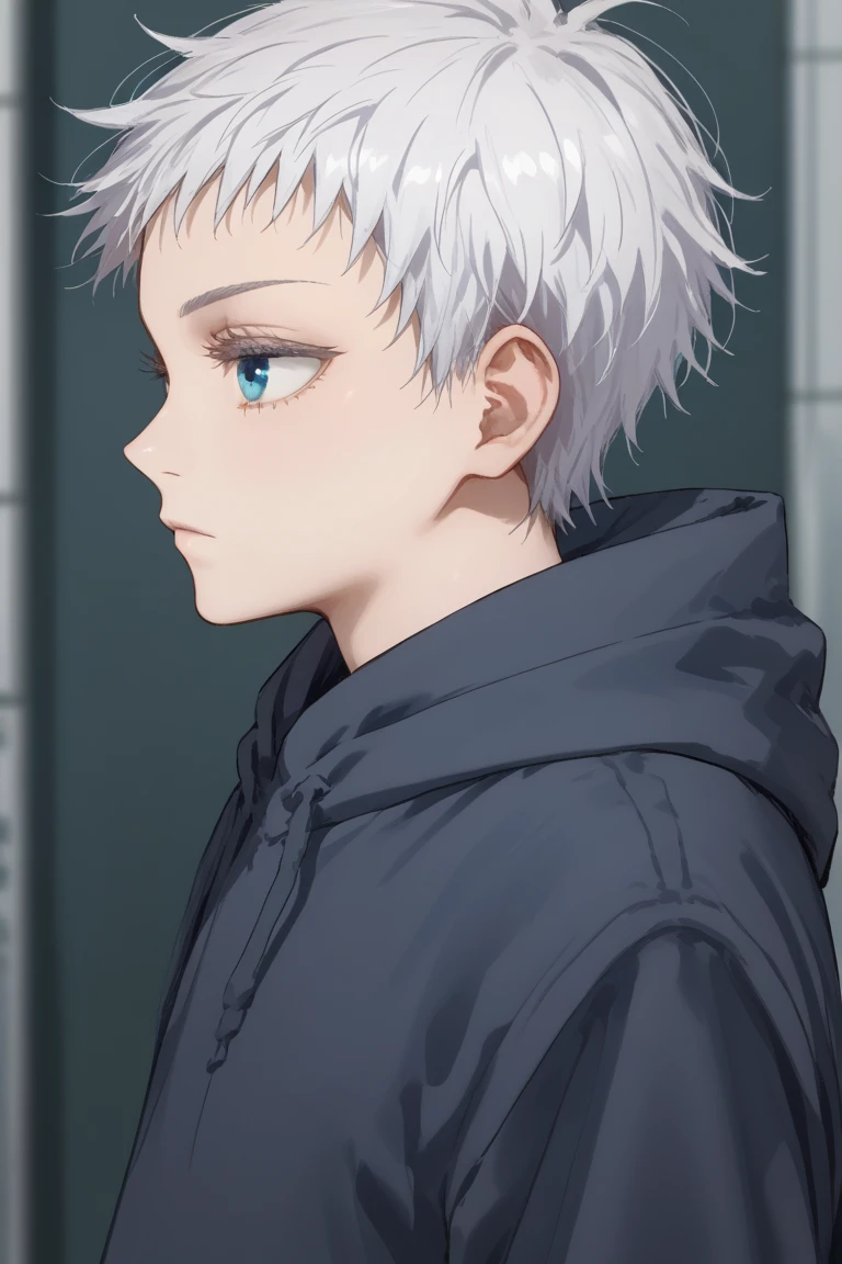 score_9, score_8_up, score_7_up, score_6_up, score_5_up, score_4_up, yg_gojo, white hair, blue eyes, solo, hood, short hair, 1boy,male focus, hoodie, hood down, profile, from side, upper body, closed mouth, blue hoodie, expressionless