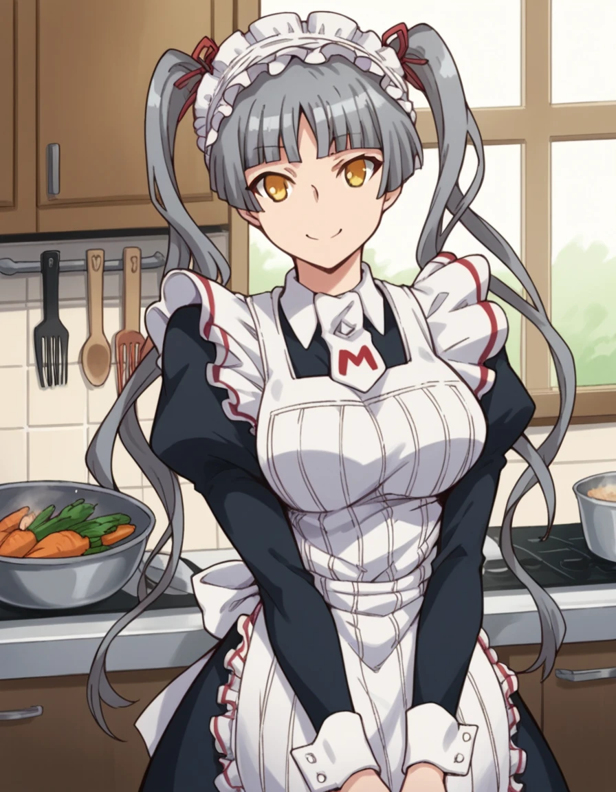 score_9, score_8_up, score_7_up, source_anime, <lora:matsurika-shinouji-s2-ponyxl-lora-nochekaiser:1>, matsurika shinouji, long hair, grey hair, twintails, yellow eyes, bangs, blunt bangs, large breasts,, apron, maid, maid headdress, kitchen, cooking, apron, cutting vegetables, home cooking, , smile, looking at viewer, solo,, dutch angle, cowboy shot