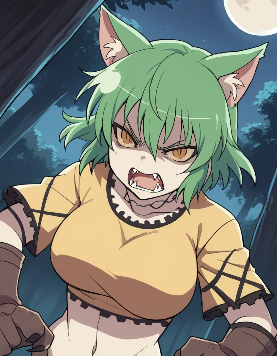 score_9, score_8_up, score_7_up, source_anime, <lora:sk-hikage-s1-ponyxl-lora-nochekaiser:1>, hikage, short hair, yellow eyes, slit pupils, green hair, large breasts,, <lora:werewolf-ponyxl-lora-nochekaiser:1>, werewolf, furry, fangs, animal ears, gloves, angry, teeth, animal ear fluff,, forest, night, moon, open mouth, , dutch angle, cowboy shot