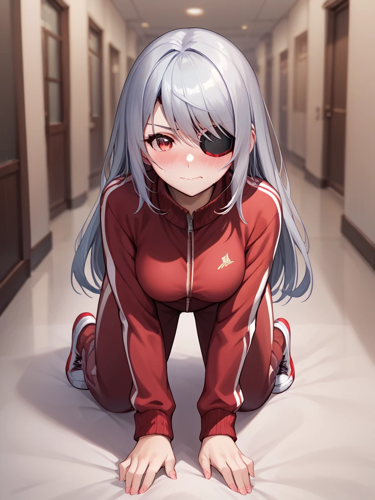 Laura Bodewig - Infinite Stratos (Pony) Pony