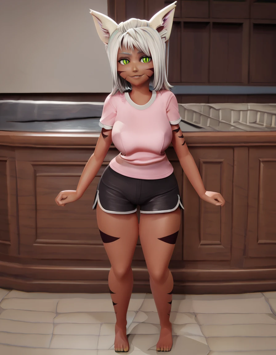 Meru v1.0