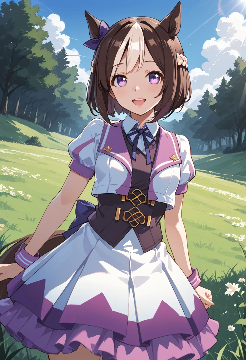 <lora:Special_Week_v2.0_Cibitai:0.8>,UMASW,horse ears,horse tail,purple eyes,hair bow,short hair,crown braid,brown hair,two-tone hair,multicolored hair,R4CE,white jacket,open jacket,vest,skirt,short sleeves,puffy sleeves,bow on back waist,grass,blue sky, sunlight, score_9, score_8_up, score_7_up,source_anime, cinematic lighting,shadow,light particles,chromatic aberration