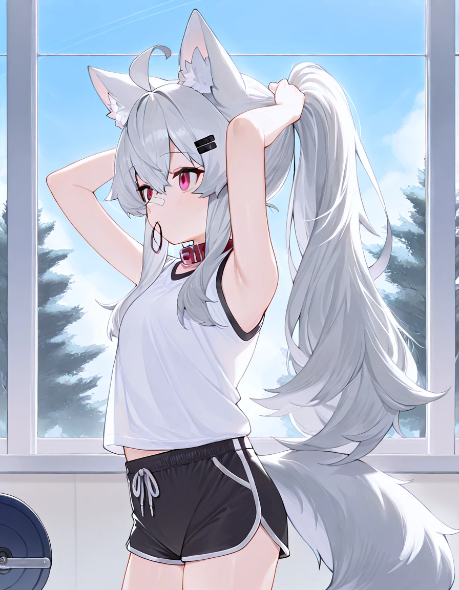 masterpiece, best quality, high quality, good quality,  1girl, ooriru, white bandaid, bandaid on nose, hairclip, animal collar, wolf tail, dolphin shorts, sleeveless, white shirt, looking ahead, arms up, tying hair, high ponytail, extremely long hair, standing, gym, window, tree, blue sky  <lora:ooriru-illust-v4:0.7>