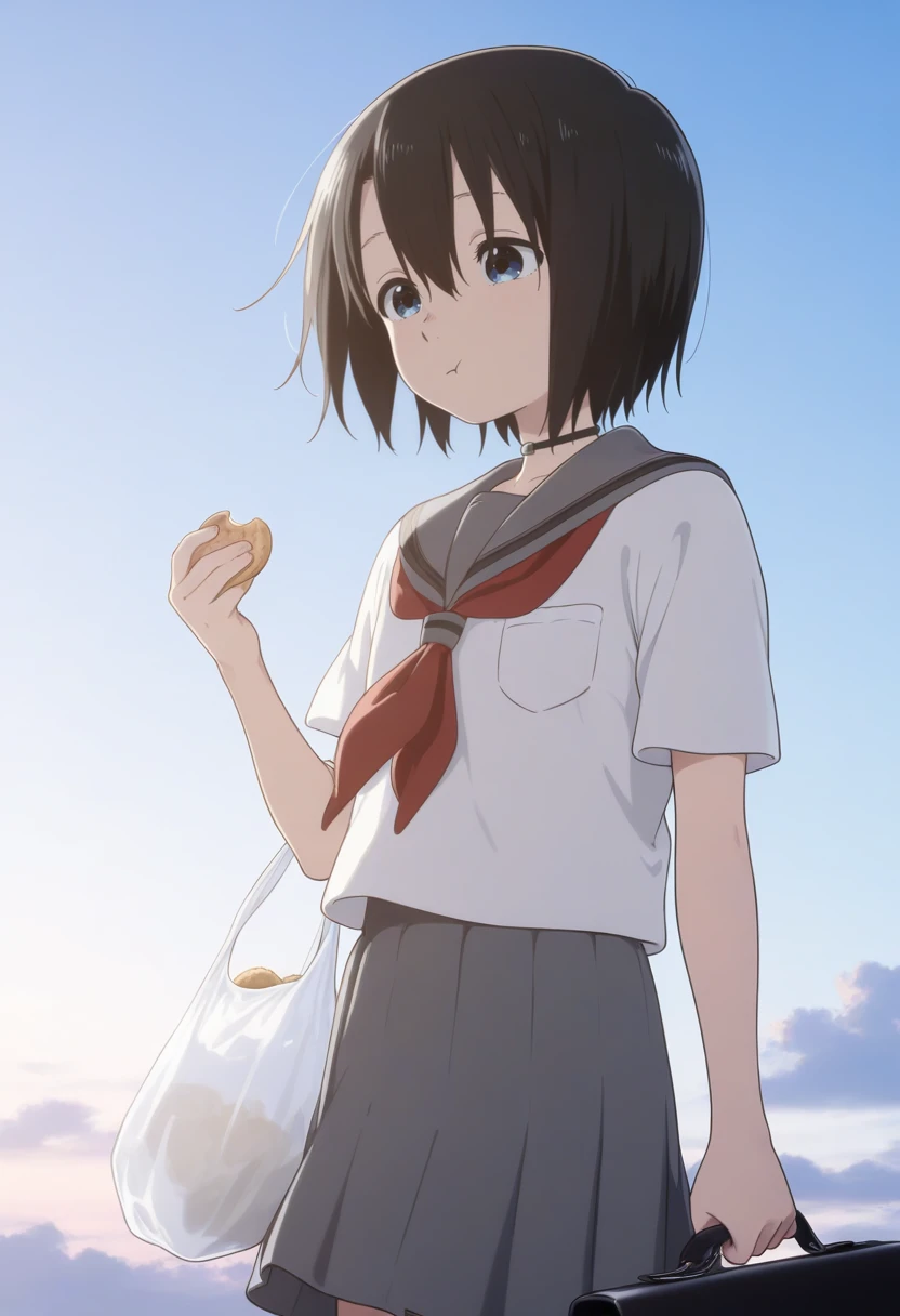 1girl, nishimiya yuzuru, tomboy, blue eyes, short hair, black hair, flat chest, <lora:Nishimiya_Yuzuru2-04:1>, school uniform, serafuku, red neckerchief, short sleeves, grey skirt, grey sailor collar, white shirt, looking at viewer, solo, black choker, cowboy shot, briefcase, closed mouth, cloud, cloudy sky, day, dumpling, eating, handbag, holding bag, holding cookie, holding food, hood down, looking ahead, outdoors, plastic bag, pom pom (clothes), standing, white bag, volumetric lighting, shiny skin, humid skin, BREAK, best quality, amazing quality, highres, absurdres, very aesthetic, high resolution, ultra detailed, perfect details <lora:nyalia:0.4>