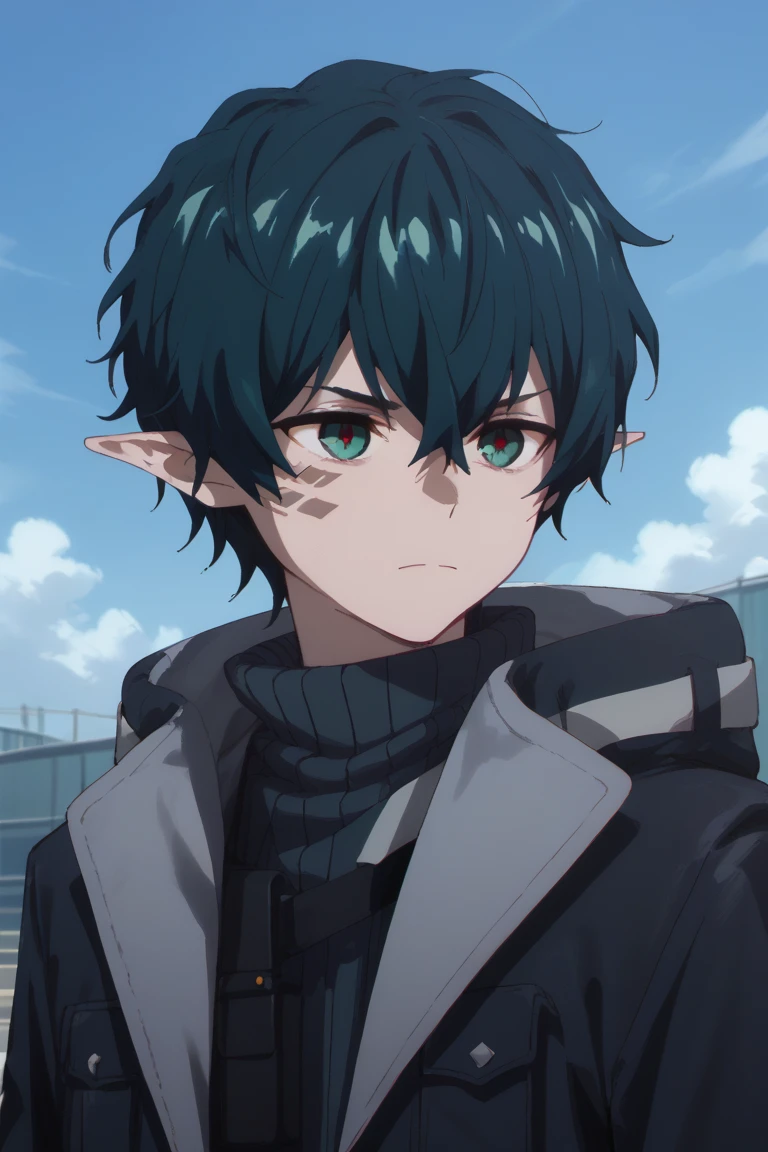 score_9, score_8_up, score_7_up, score_6_up, score_5_up,score_4_up , 
faust, green hair, green eyes, pointy ears, scales, 1boy, male focus, solo,, facial mark, gloves, hair between eyes, anime coloring, sky, short hair, outdoors, upper body, closed mouth, jacket, RIBBED SWEATER