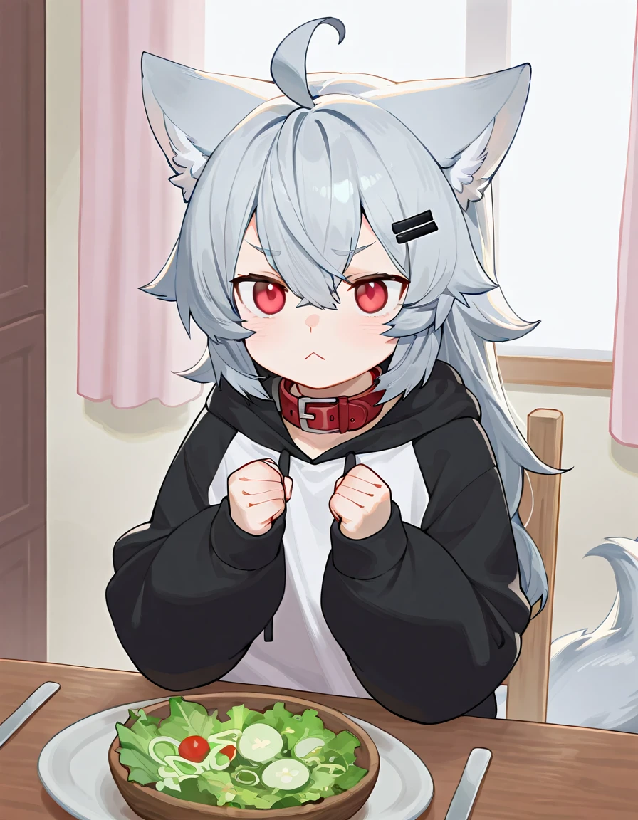 masterpiece, best quality, high quality, good quality,  1girl, ooriru, red eyes, hairclip, animal collar, two-tone hoodie, wolf tail, :<, sitting, wood chair, hands up, clenched fists, dining room, table, salad, window, curtains  <lora:ooriru-illust-v4:0.7>