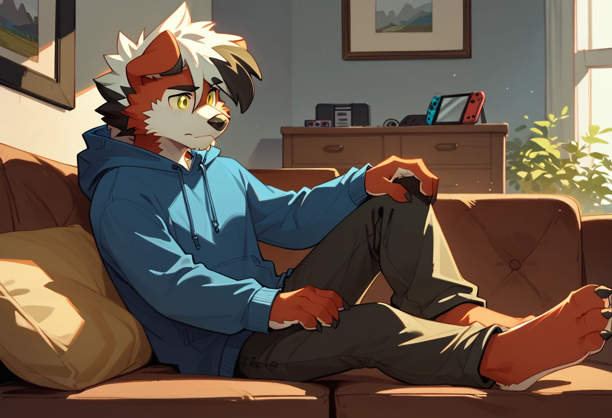 score_9, score_8_up, score_7_up, nickiestyer_oc, furry, solo, yellow eyes, multicolored hair, from side, pants, blue hoodie, barefoot, hand on own knee, nintendo switch, room, sofa, <lora:Nickiestyer_OC:1>