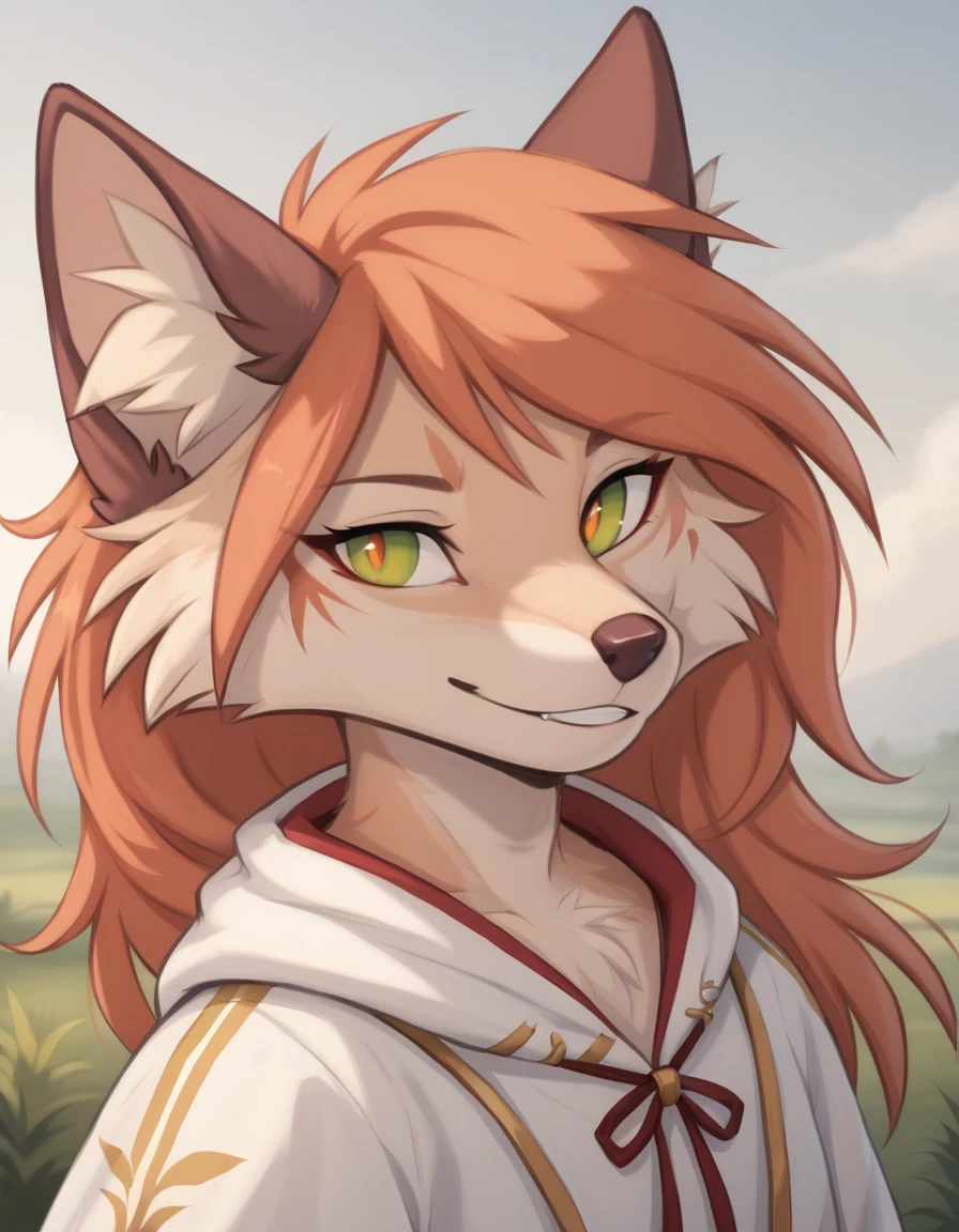 outdoors,
Kiri,1girl,solo,animal ears,furry female,body fur,snout,animal nose,green eyes,tail,bangs,white fur,long hair,two-tone fur,orange hair,red hair,animal ear fluff,brown fur,fox ears,sidelocks,fox girl,yellow eyes,fox tail,
headshot,smile,parted lips,
<lora:Kiri_v01_PDXL:1>,