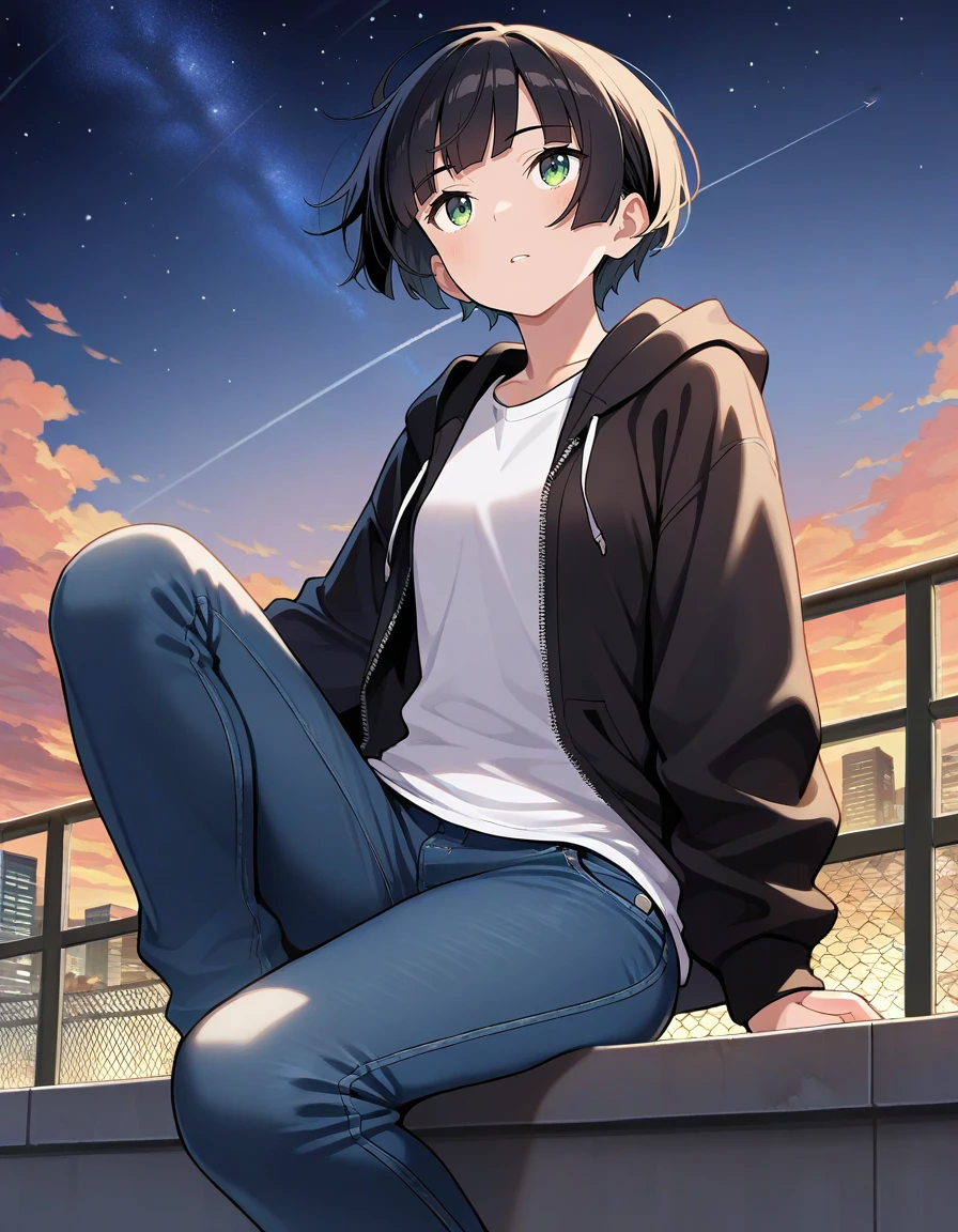 masterpiece, best quality,
1girl, tomboy, black hair, green eyes, head tilt, black hooded jacket, white T-shirt, jeans, knee up, sitting, city, evening, wind, from below, starry sky, looking up, hime cut, short hair, rooftop, contrail,