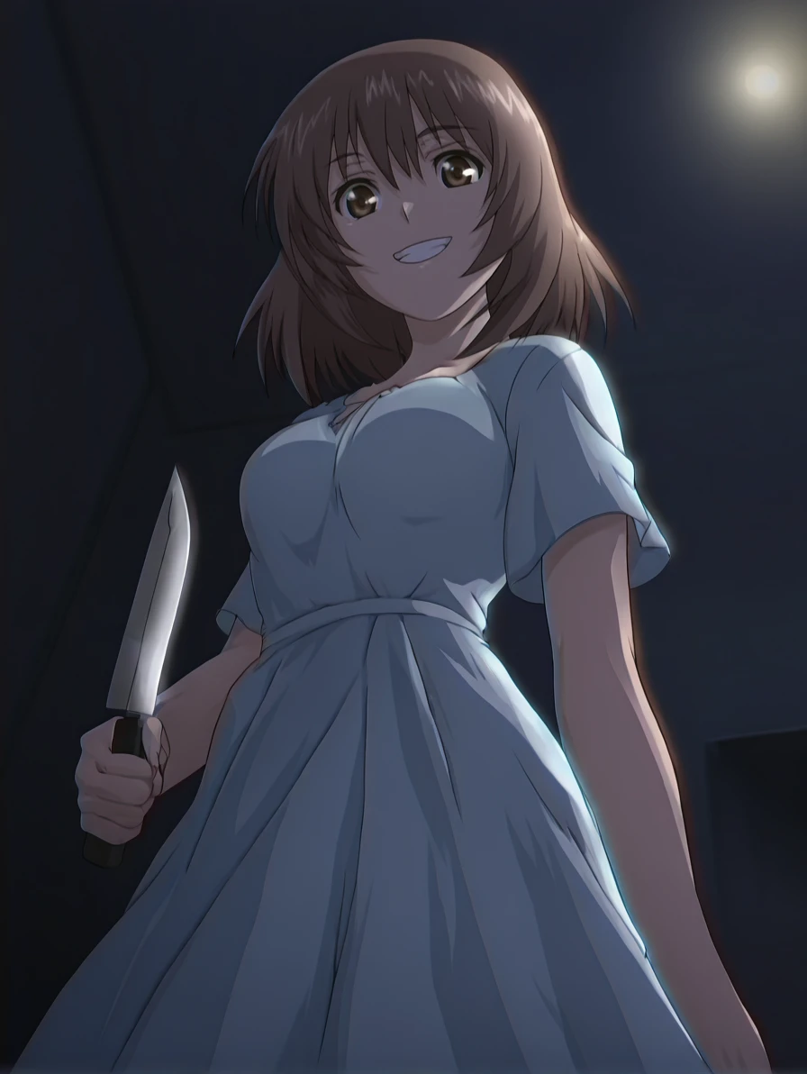 <lora:anime-poster-v2-illustrious-000030:1> <lora:dark-shell-illustrious-000006:0.8> 1girl, solo, ukita, blue dress, knife, imminent stabbing, grin, from below, indoors, night, dramatic lighting, cinematic lighting, masterpiece, best quality