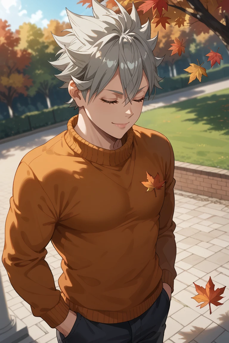 score_9, score_8_up, score_7_up, source_anime, rating_questionable, day, natural lighting, autumn theme, autumn leaf, leaves, male focus, looking away, smiling, TSAstaBC, grey_TSAstaBC_spiked hair, closed eyes, closed mouth, autumn clothes, sweater, 1boy, blurry outdoors, from above, dutch angle, intricately detailed illustration, atmospheric perspective, depth of field