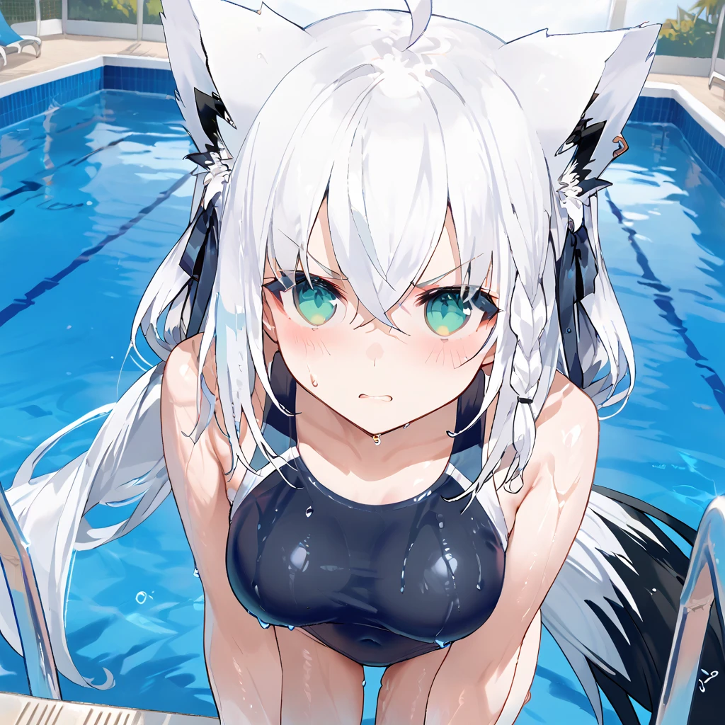 score_9,score_8_up,score_7_up,source_anime,1girl,fubuki_nml,white hair,green eyes,ahoge,braid,hair between eyes,bangs,long hair,fox tail,animal ear fluff,medium breasts,swimsuit,wet swimsuit,covered navel,pool,blush,bent over,blush,looking at viewer, angry<lora:cnv3mdde878c738thn20:0.9>,<lora:ShirakamiFubuki_ç½ä¸ããã­_ho****ve_Vtube-000008:0.9>,