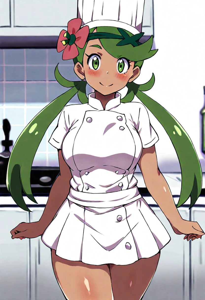 Mallow: Jungle Chef | マオ (Pokemon) [Pony & Illustrious & SD1.5]