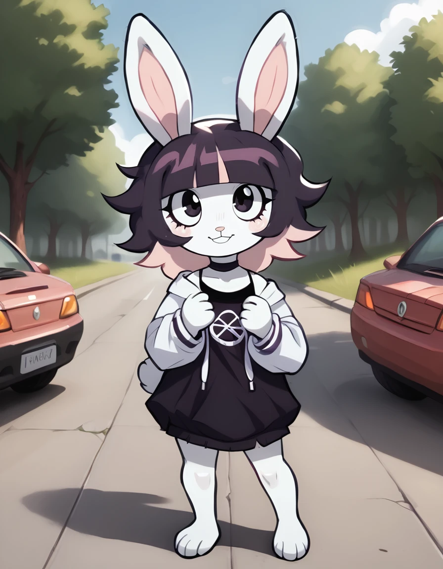 outdoors,detailed background,
bubny,1girl,solo,rabbit girl,bangs,black hair,short hair,rabbit ears,multicolored hair,blunt bangs,furry female,black eyes,pink hair,purple hair,choker,rabbit girl,two-tone hair,rabbit tail,animal nose,
full body,smile,long eyelashes,
<lora:Bubny_v01_PDXL:1>,