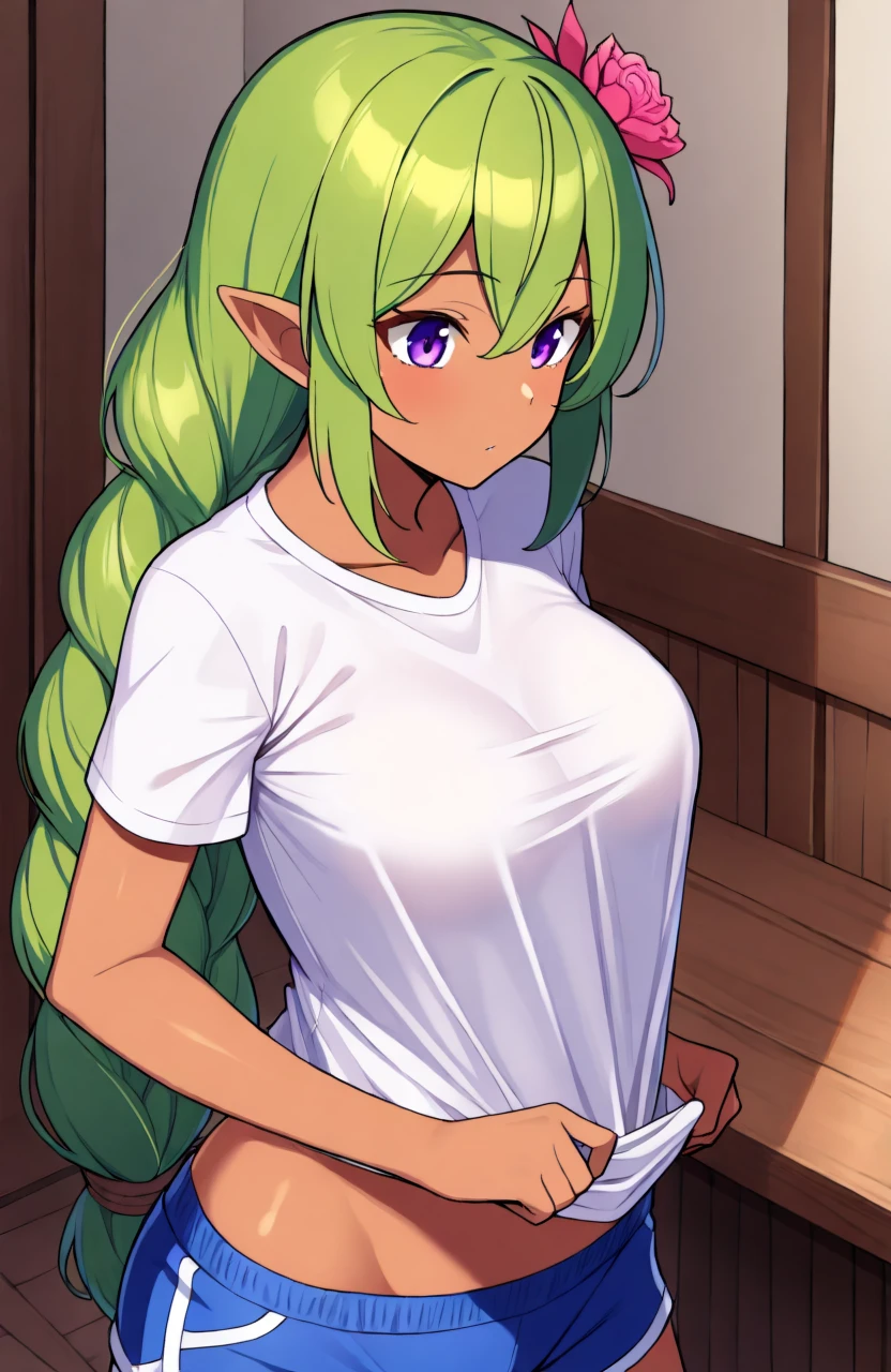 dryad (Terraria) [Illustrious] v1.0