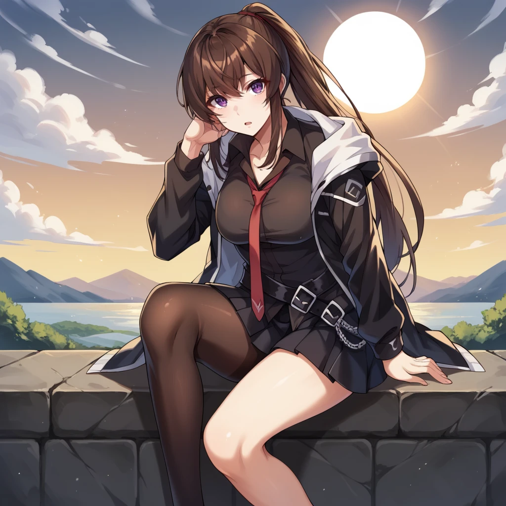 score_9_up, score_8_up, score_7_up, source_anime, 1girl, solo, sun light, clouds, sky, sitting on stone ledge, legs together, head tilt, curious, open mouth, looking at you, Mina, black shirt, collared shirt, red necktie, black jacket, open jacket, pleated skirt, black skirt, asymmetrical legwear, black belt, crossed belts, single leg pantyhose, single knee high, long sleeves, black sleeves, brown hair, long hair, purple eyes, high ponytail, hooded jacket, mature body, dynamic cowboy shot, 