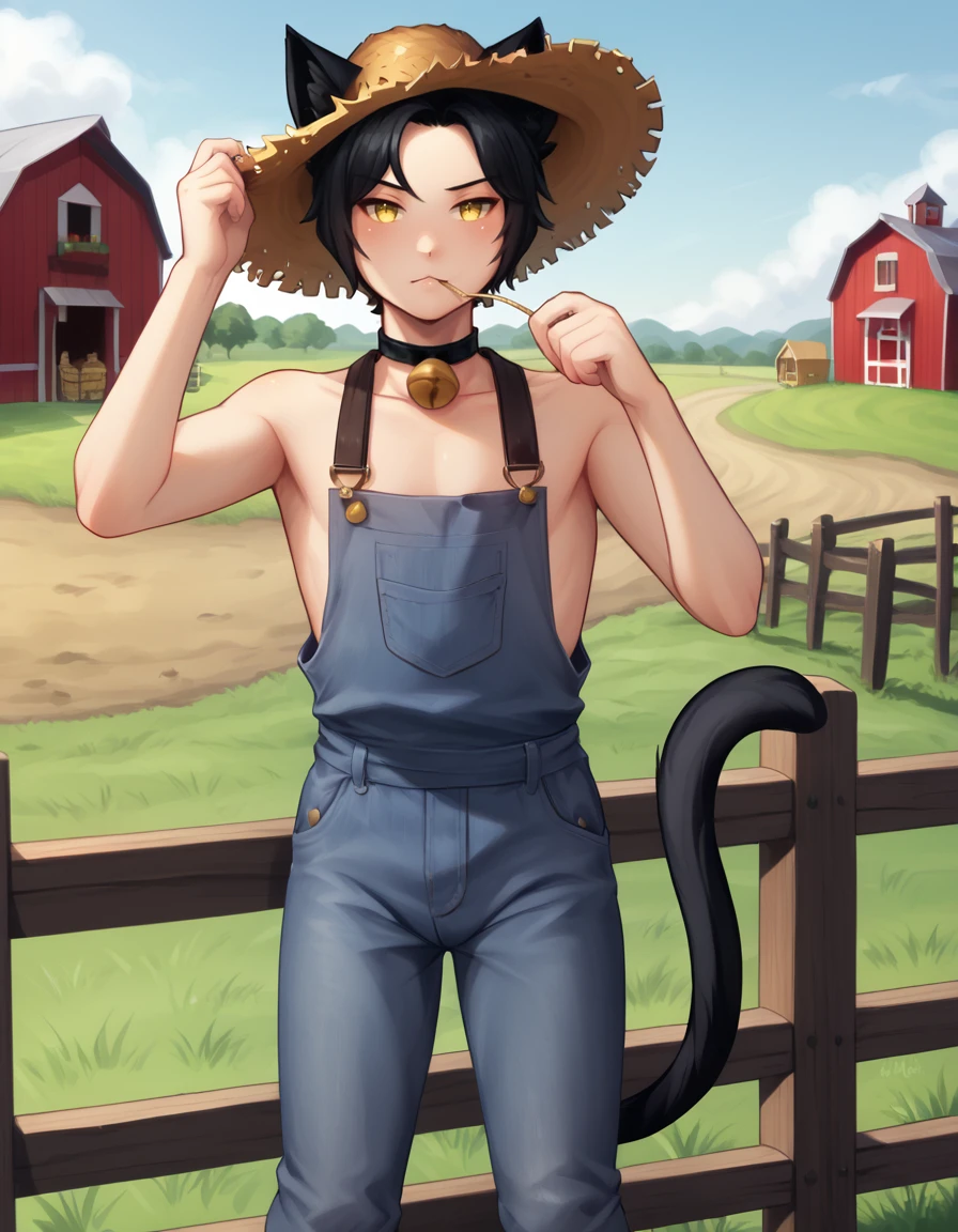 outdoors,farm,
Author,1boy,solo,cat boy,animal ears,black hair,cat ears,short hair,tail,yellow eyes,cat tail,neck bell,parted bangs,
farmer,blue overalls, straw hat,
<lora:Author_v01_PDXL:1>,
<lora:add-detail-xl:1>,