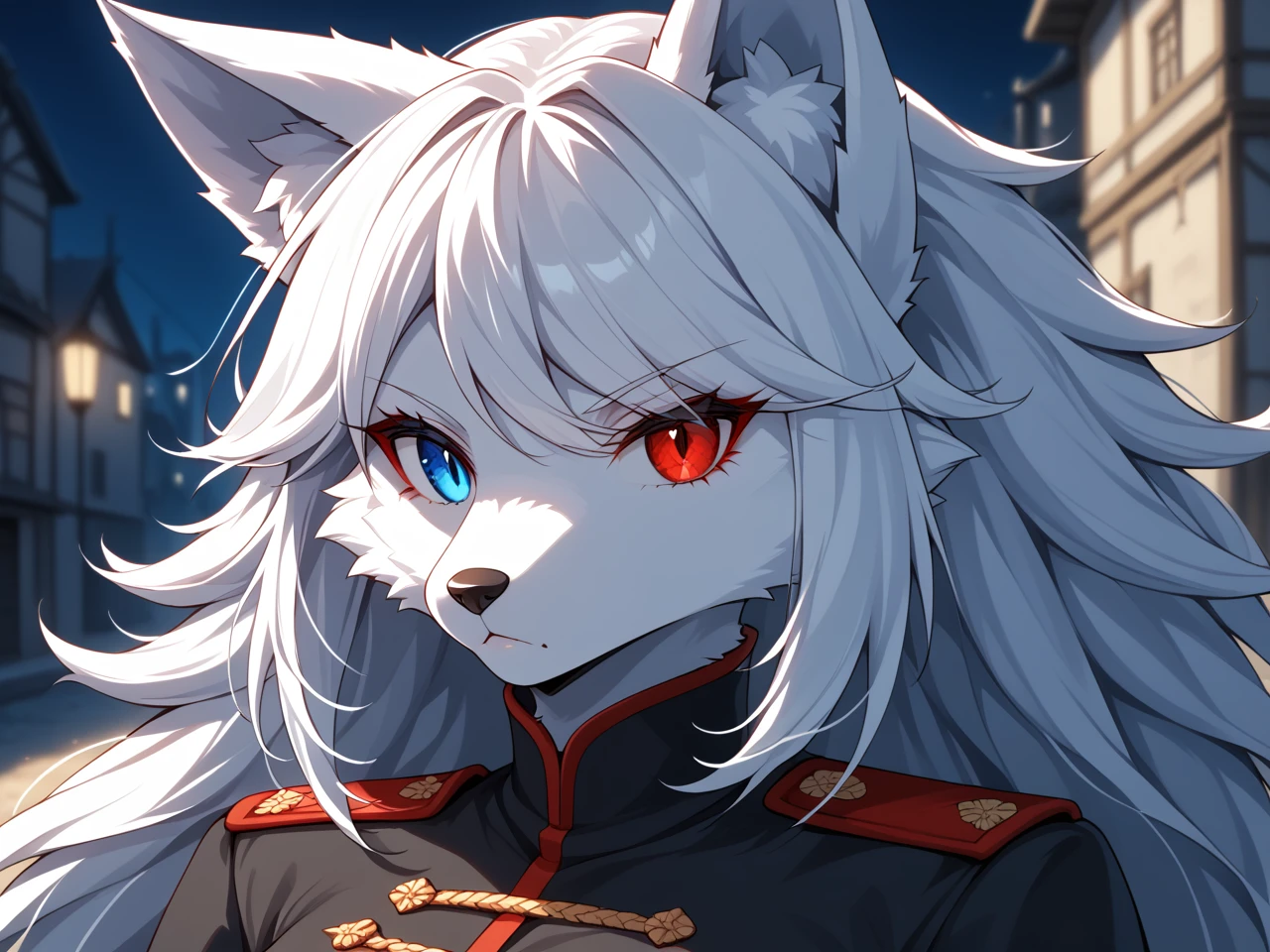 (masterpiece), best quality, expressive eyes, perfect face, anime, (1girl, (wolf girl, vampire, furry female wolf, furry female), (white hair, sideswept bangs, white fur)), ((heterochromia, right blue eye, left red eye)), (military uniform, knight), serious, (town), fine details, clothing textures, depth of field, dim lighting, high quality, thick outlines, symphtia-style