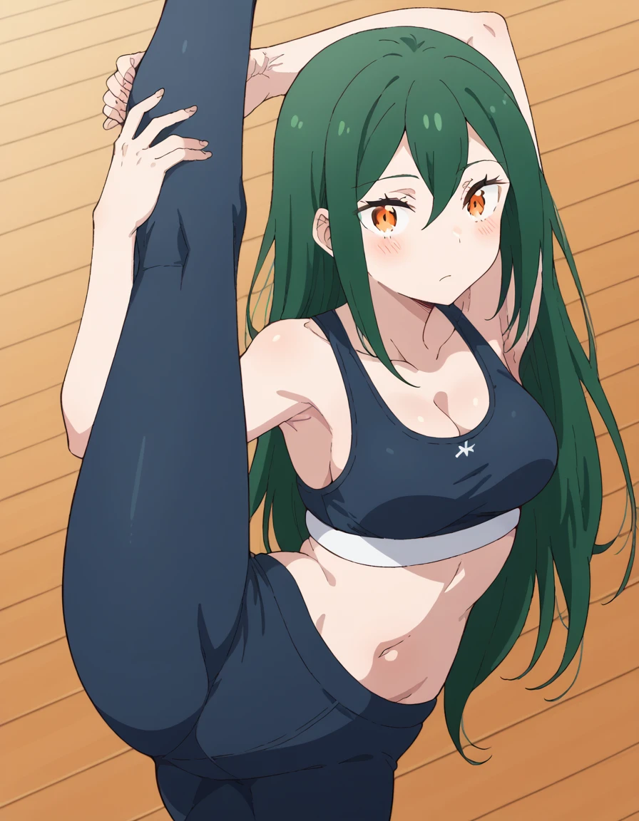 score_9, score_8_up, score_7_up, source_anime, <lora:crusch-karsten-s3-p1-ponyxl-lora-nochekaiser:1>, crusch karsten, long hair, hair between eyes, green hair, orange eyes, medium breasts,, <lora:yoga-pants-ponyxl-lora-nochekaiser:1>, yoga pants,, gym, spo...