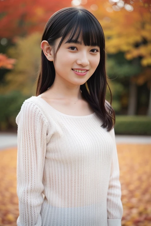 Preview 5