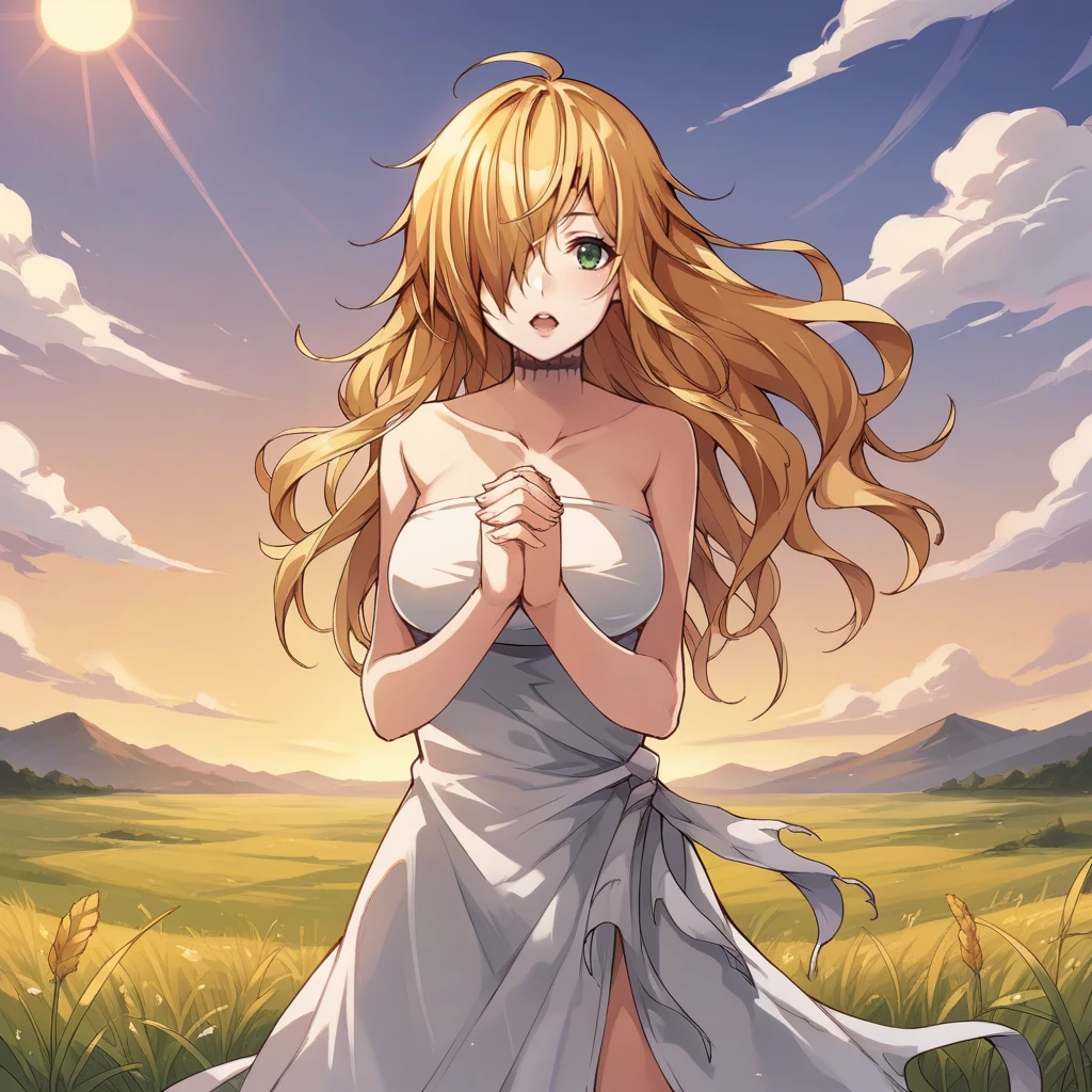 score_9_up, score_8_up, score_7_up, source_anime, 1girl, solo, sun light, clouds, sky, field, hands together, hair over one eye, open mouth, looking at you, Marie, long hair, blonde hair, green eyes, bare shoulders, strapless dress, white dress, scar on neck, collarbone,  mature body, dynamic cowboy shot, 